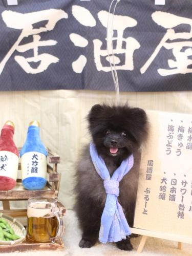 20240605まるくん